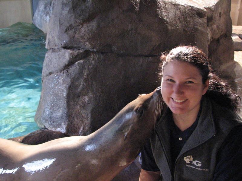 Sea Lion love