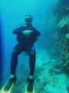Aruba diving
