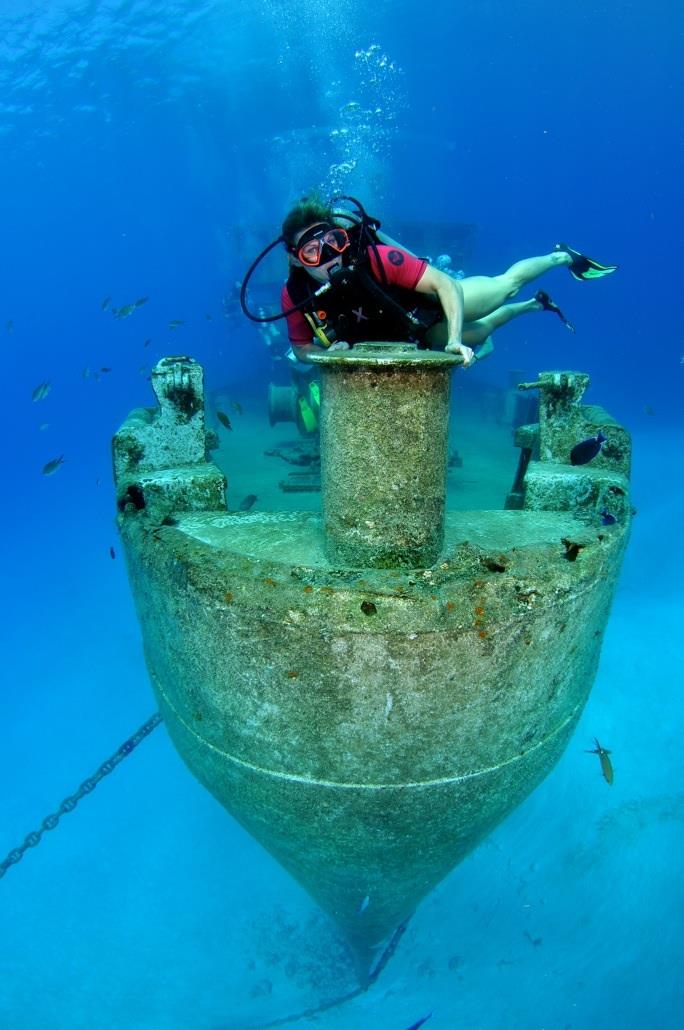 Kittiwake Grand Cayman