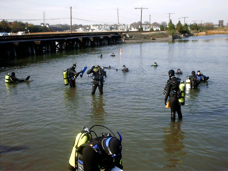 Just a GREAT Fun Dive!