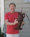 Lobster opener `07 - 8.5# bug