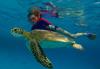 Turtle with Snorkeler - Bonaire