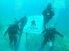 WWP Scuba Divers at the NC Aquarium