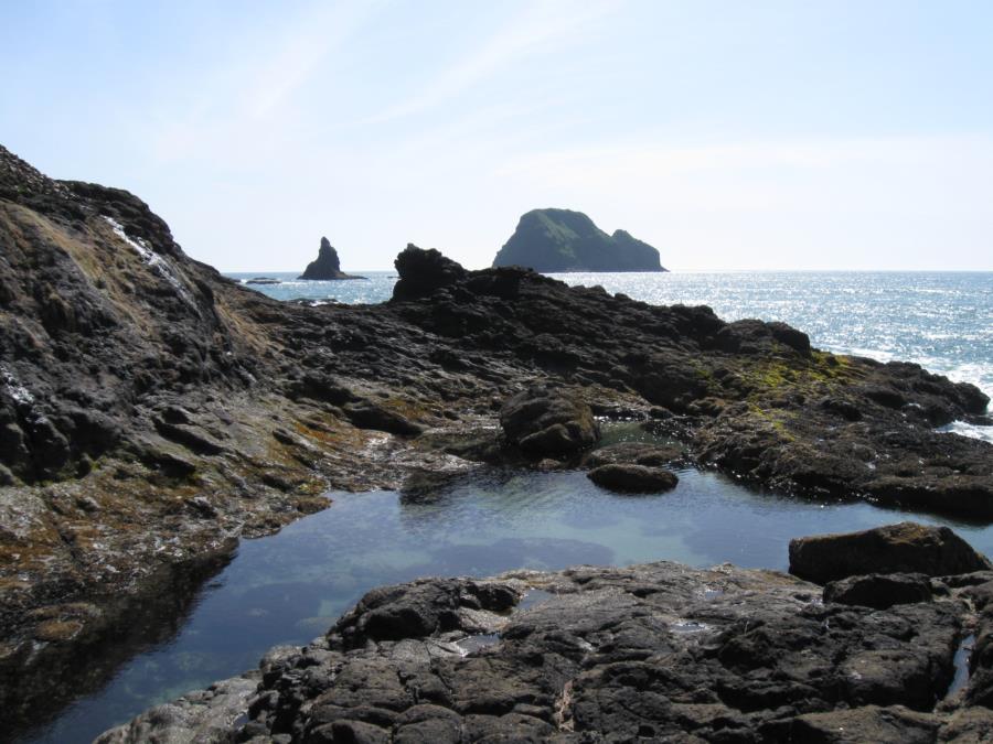 The rugged Oregon coast