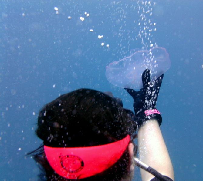 diver9744’s Profile Photo