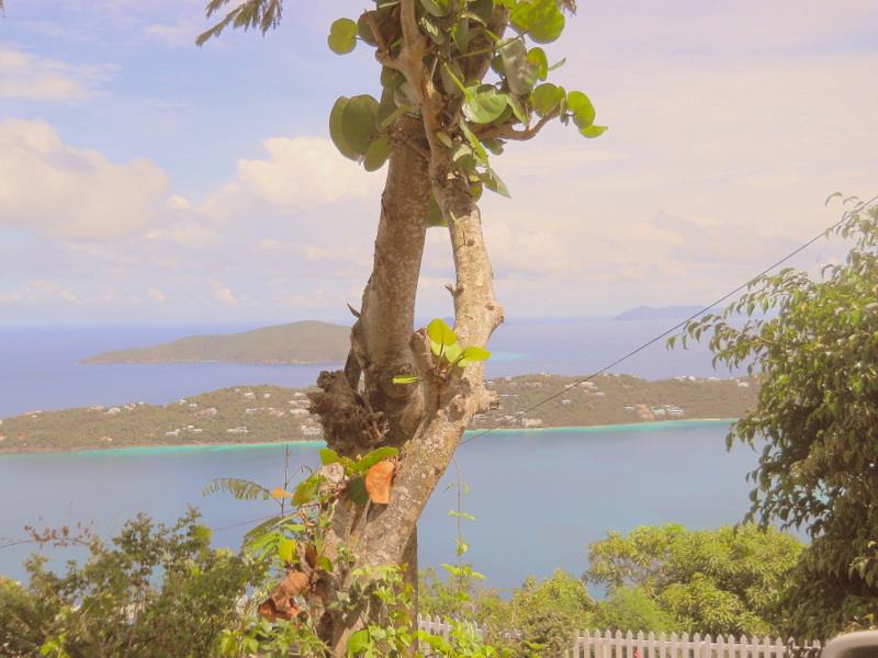 zipline - st thomas