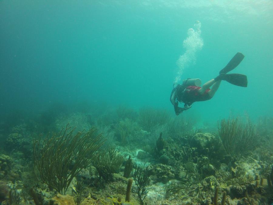 Me In Bonaire East Coast