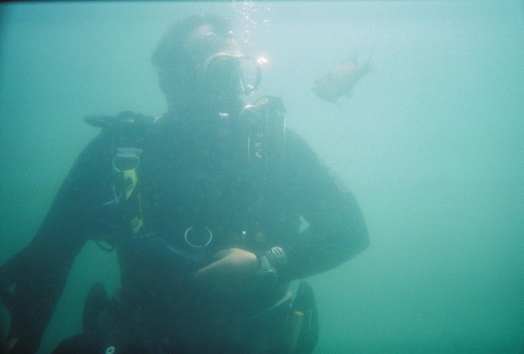Dive Haven