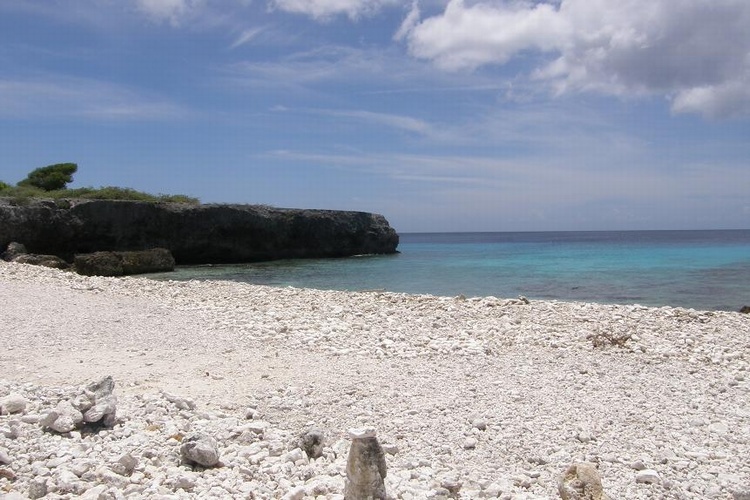 BONAIRE 2008