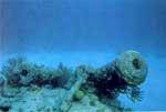 Bermuda ship wreck