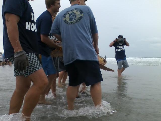 Turtle Release