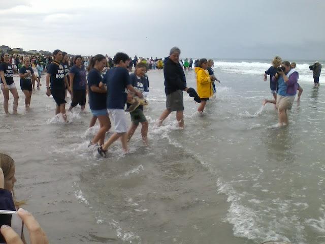 Turtle Release 2