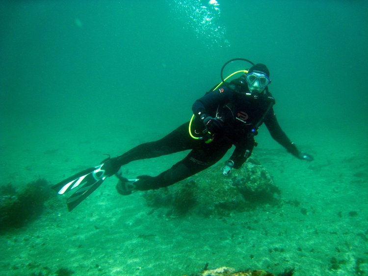 Diving in Channel Islands