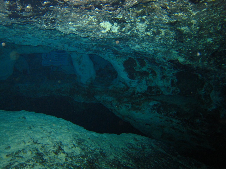 A peek at Devil`s Eye Spring in Ginnie Springs 