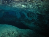 A peek at Devil`s Eye Spring in Ginnie Springs 