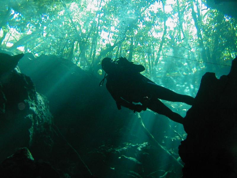 Cenote diving