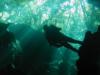 Cenote diving