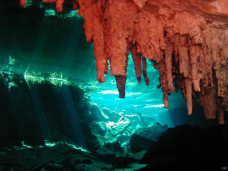 Cenote diving