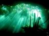 Cenote diving