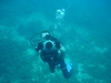 Yours truly with my video camera and underwater housing