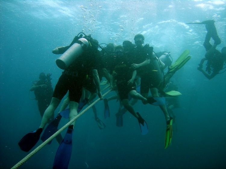 Crowded safety stop!! - Koh Tao, Thailand