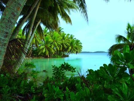 Palmyra Atoll - Strawn Island