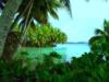 Palmyra Atoll - Strawn Island