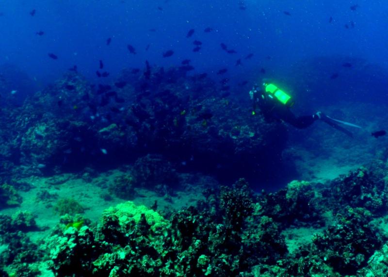 Under the Sea, Hanauma Bay