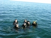 December Dive - Dive group from the Liberty Ship wreck dive just off Wrightsville beach.