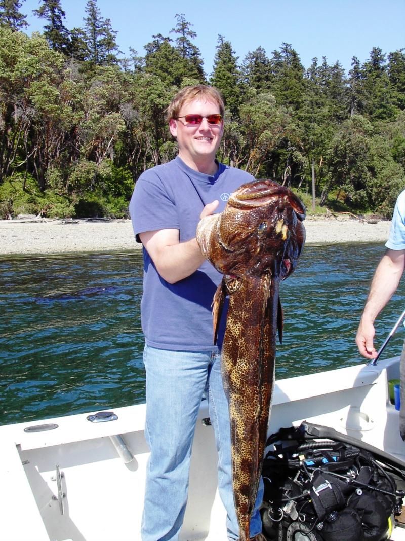 A Divebuddy’s catch - Ling Cod