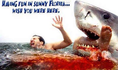 Sorry Floridians, I had to.
