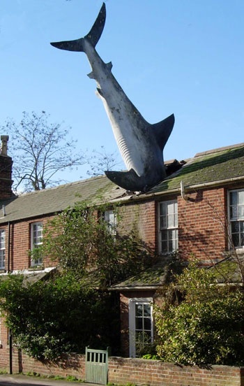 Land Shark