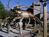 Steak and Lobster for.......300 people!