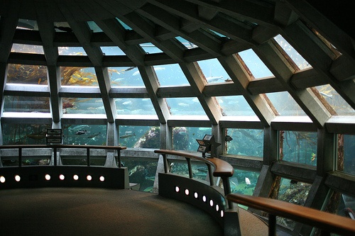 Seattle Aquarium Dome