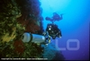 giannutri-dive-with-scooter-dpv