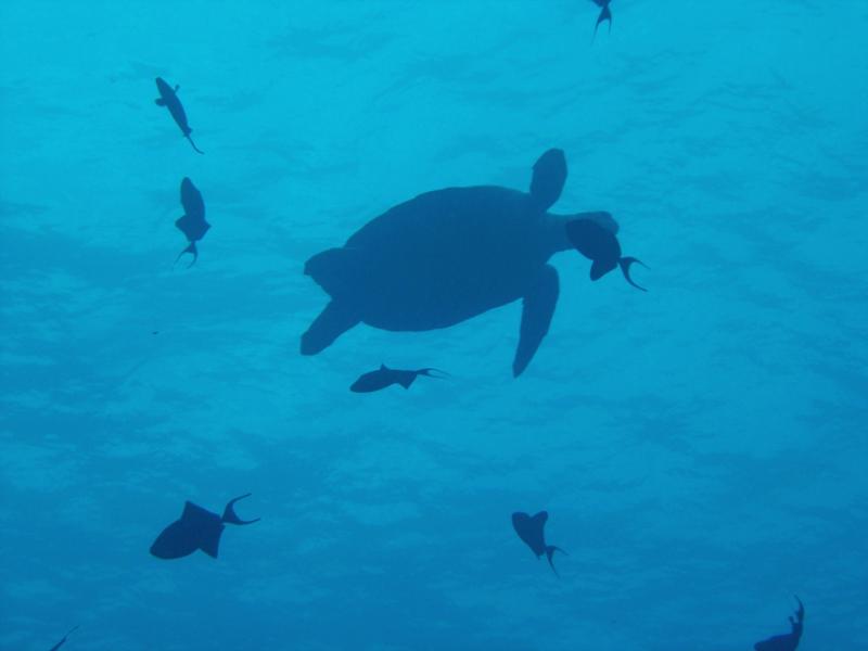 sipadan