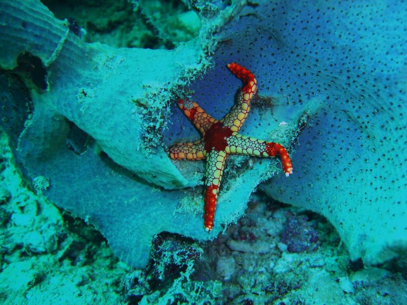 sipadan