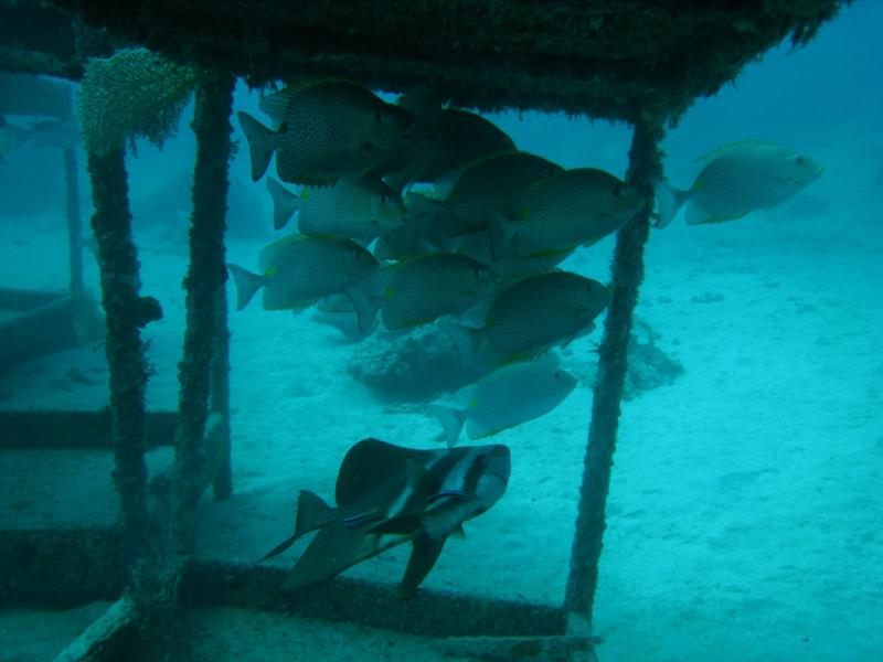 sipadan