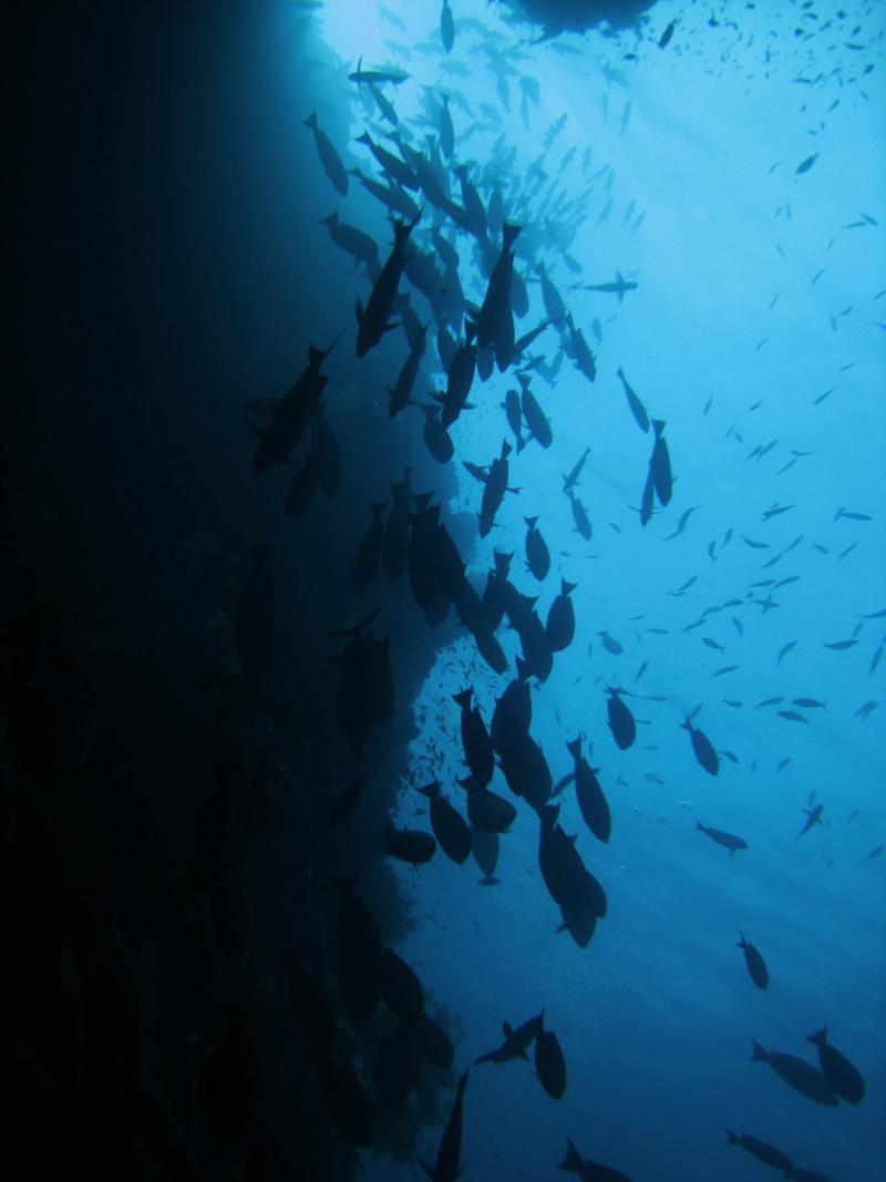 sipadan