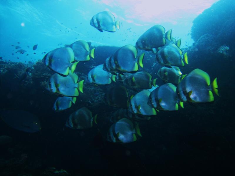 sipadan