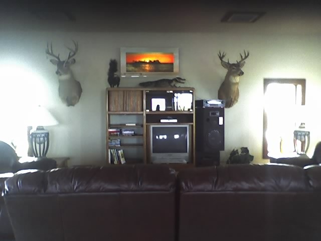 living room in middle of glades