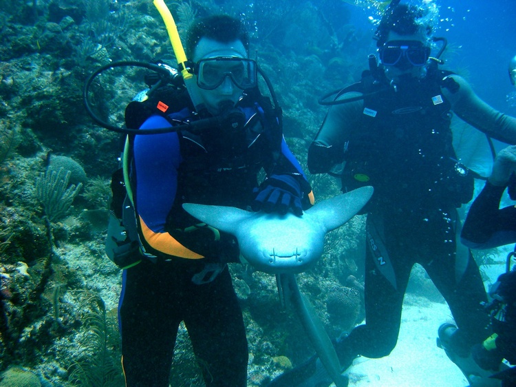 My Pet Shark —- Belize
