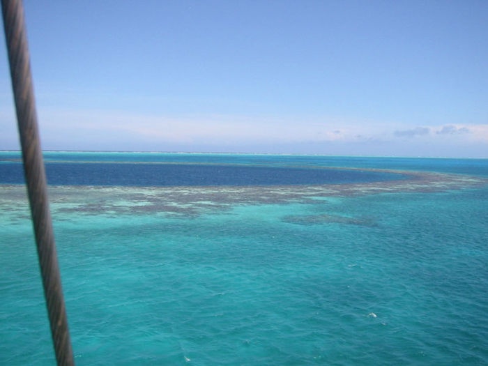 The Great Blue Hole - Belize    Just an amazing place to dive and see the resident sharks!