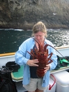 Monster Lobster Channel Islands 