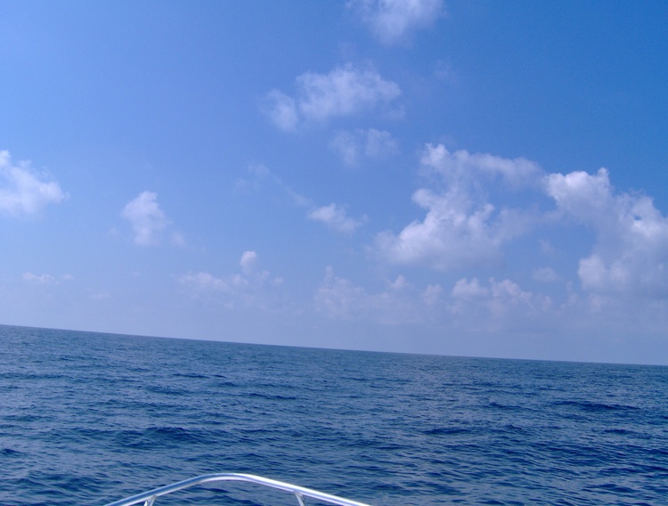 Gulf of Mexico