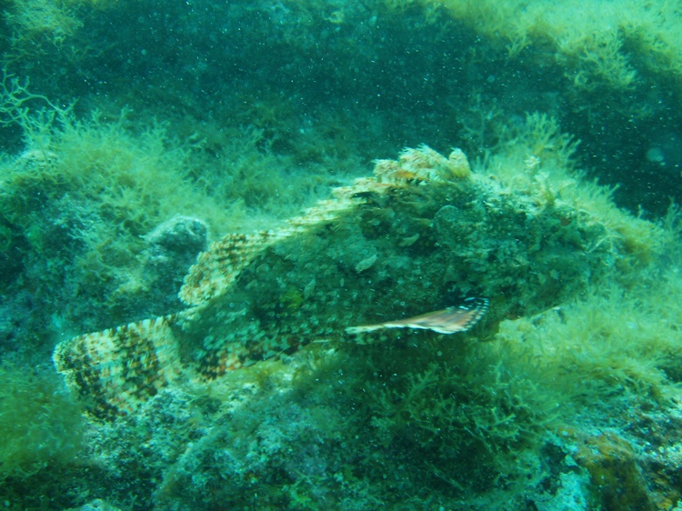 Islamarada, FL