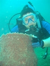 coral