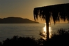 Morning in Bahia de los Angeles, Baja