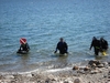 Guys From Divers Market in Plymouth, Mass