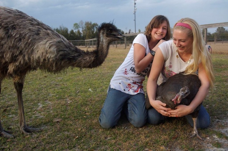 Heidis Emu farm next door